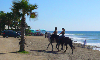 Apartamento en venta en primera línea de playa – complejo en primera línea de playa con paseo, San Pedro – Marbella 4
