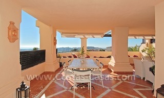 Amplio apartamento bajo elevado de lujo a la venta en Nueva Andalucía – Marbella 2