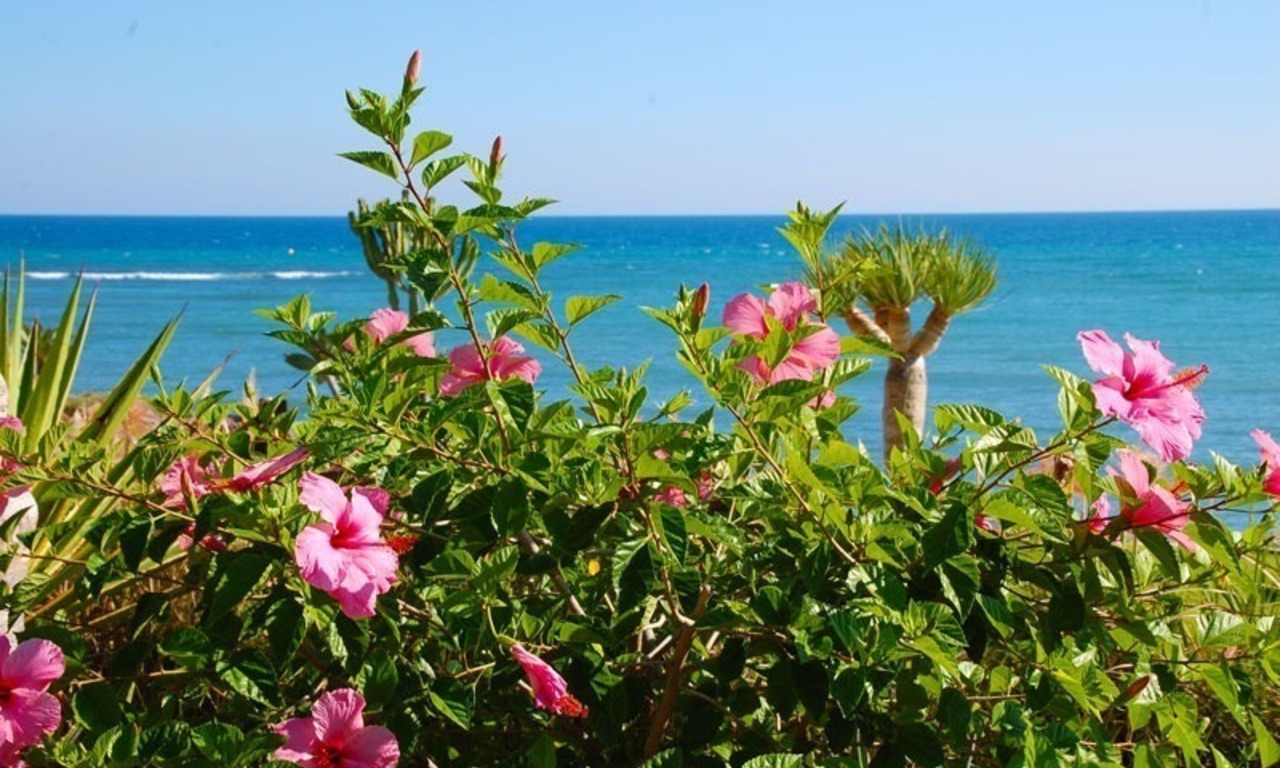 Apartamento de lujo frontal al mar para alquilar en vacaciones en complejo en primera línea de playa en la Milla de Oro, Marbella - Estepona, Costa del Sol 24