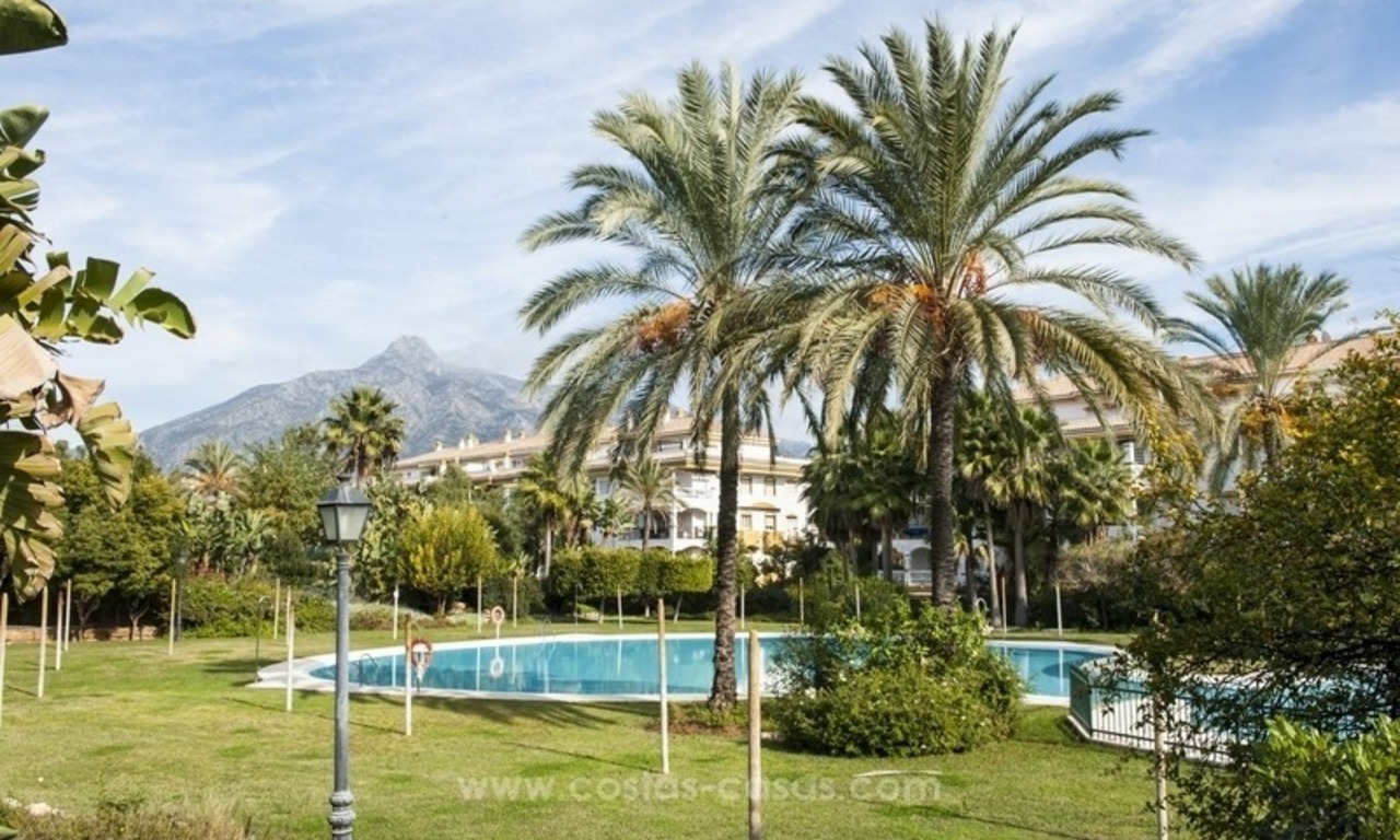 Apartamentos en venta en Nueva Andalucía, cerca de Puerto Banús, en Marbella 20
