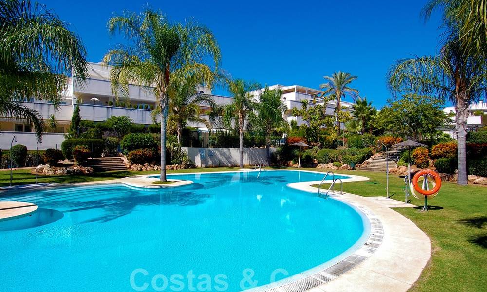 Amplio apartamento de 3 dormitorios en venta en Nueva Andalucía - Marbella, a poca distancia de la playa y Puerto Banús 23146