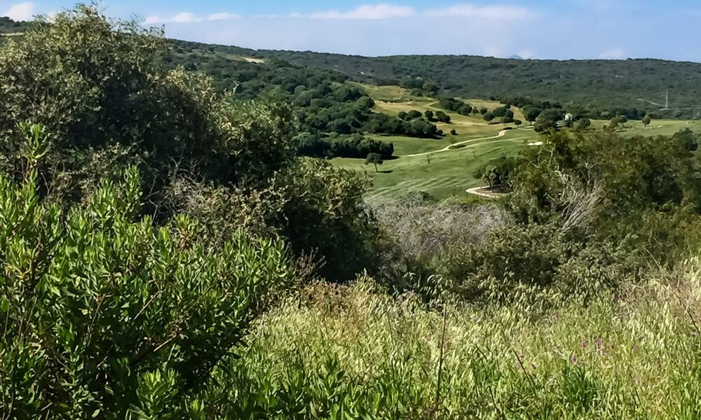 Parcela + proyecto de una sofisticada villa en venta situada en la muy exclusiva y cerrada comunidad de Sotogrande, Costa del Sol 49019