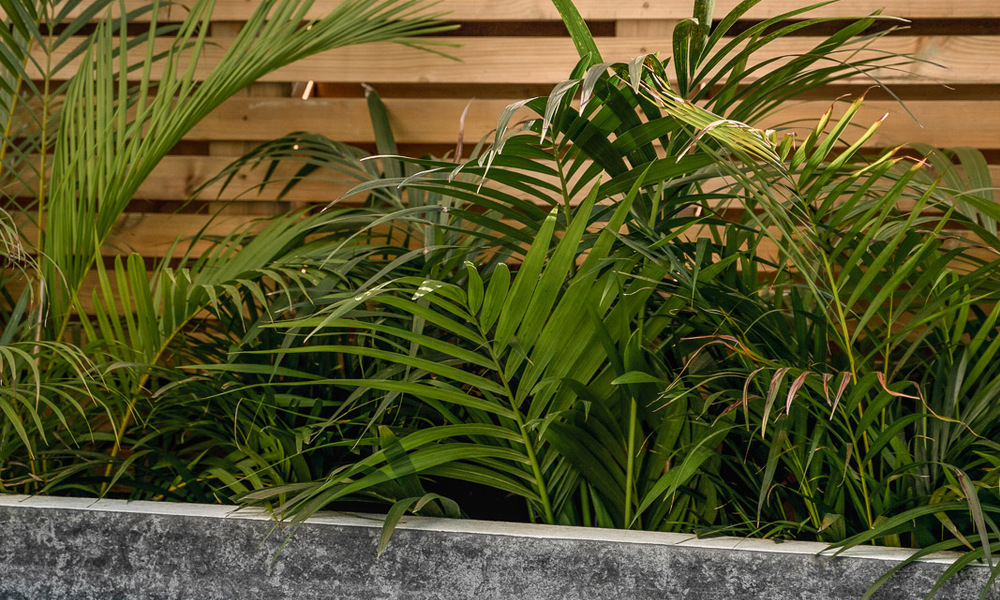 2 exclusivos apartamentos en venta con amplia terraza, piscina privada y vistas a La concha en Nueva Andalucia, Marbella 50101