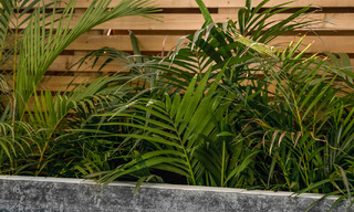 2 exclusivos apartamentos en venta con amplia terraza, piscina privada y vistas a La concha en Nueva Andalucia, Marbella 50101 