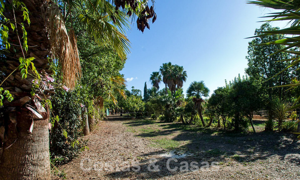 Finca con establos en venta a poca distancia del centro de Estepona, Costa del Sol 61037