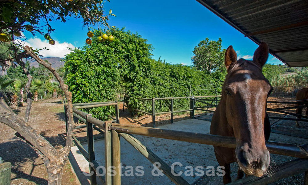 Finca con establos en venta a poca distancia del centro de Estepona, Costa del Sol 61063