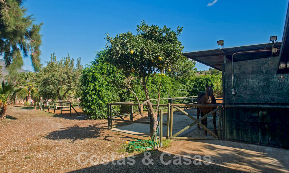 Finca con establos en venta a poca distancia del centro de Estepona, Costa del Sol 61065