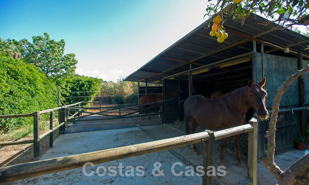 Finca con establos en venta a poca distancia del centro de Estepona, Costa del Sol 61066