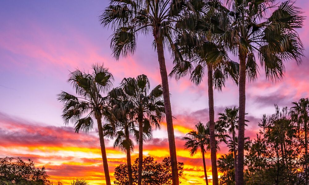 Exclusivo apartamento en primera línea de playa con vistas panorámicas al mar en venta en el centro de Estepona 795954