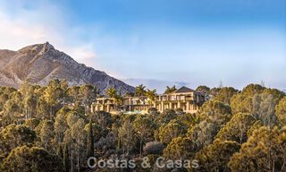 Proyecto de reforma integral de lujo con península privada y vistas panorámicas al lago en Istán, Marbella 805852 