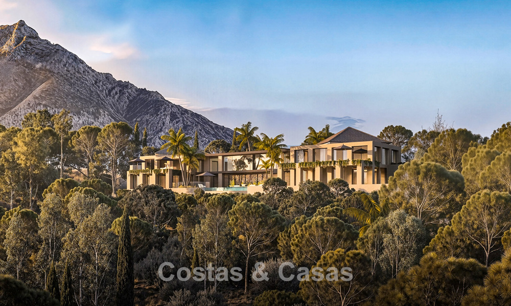 Proyecto de reforma integral de lujo con península privada y vistas panorámicas al lago en Istán, Marbella 805853