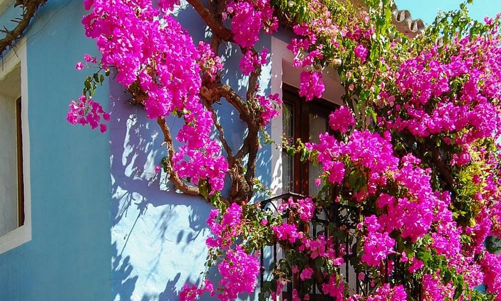 Casas adosadas de estilo andaluz a la venta en Marbella 28244