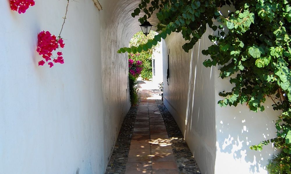 Casas adosadas de estilo andaluz a la venta en Marbella 28248