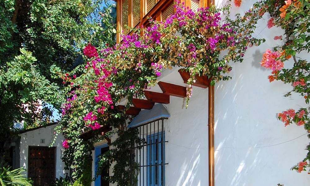 Casas adosadas de estilo andaluz a la venta en Marbella 28258